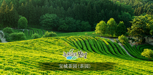 微信圖片_2026-06-10_131659_398