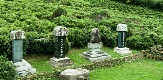 微信圖片_2026-06-10_131703_933